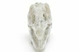Carved Labradorite Dinosaur Skull #218493-2